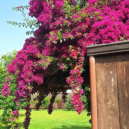 Villa Lucilla Altavilla Silentina Esterno foto