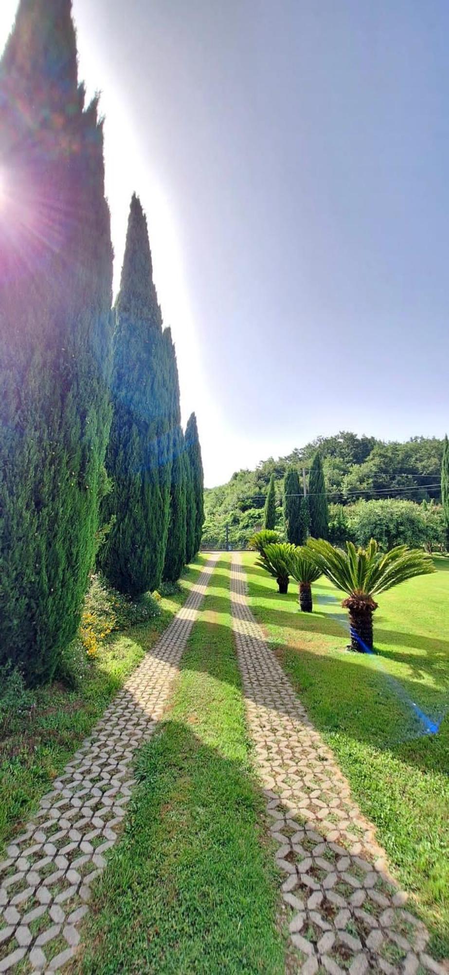 Villa Lucilla Altavilla Silentina Esterno foto