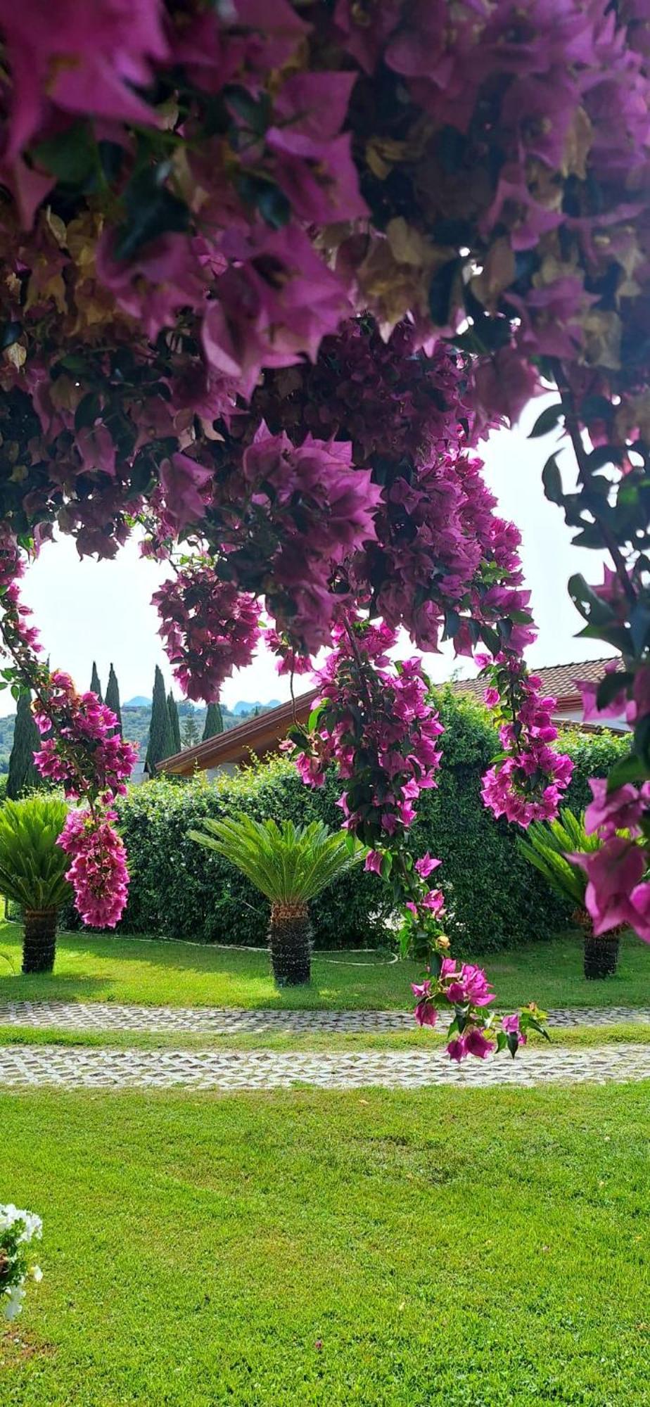 Villa Lucilla Altavilla Silentina Esterno foto