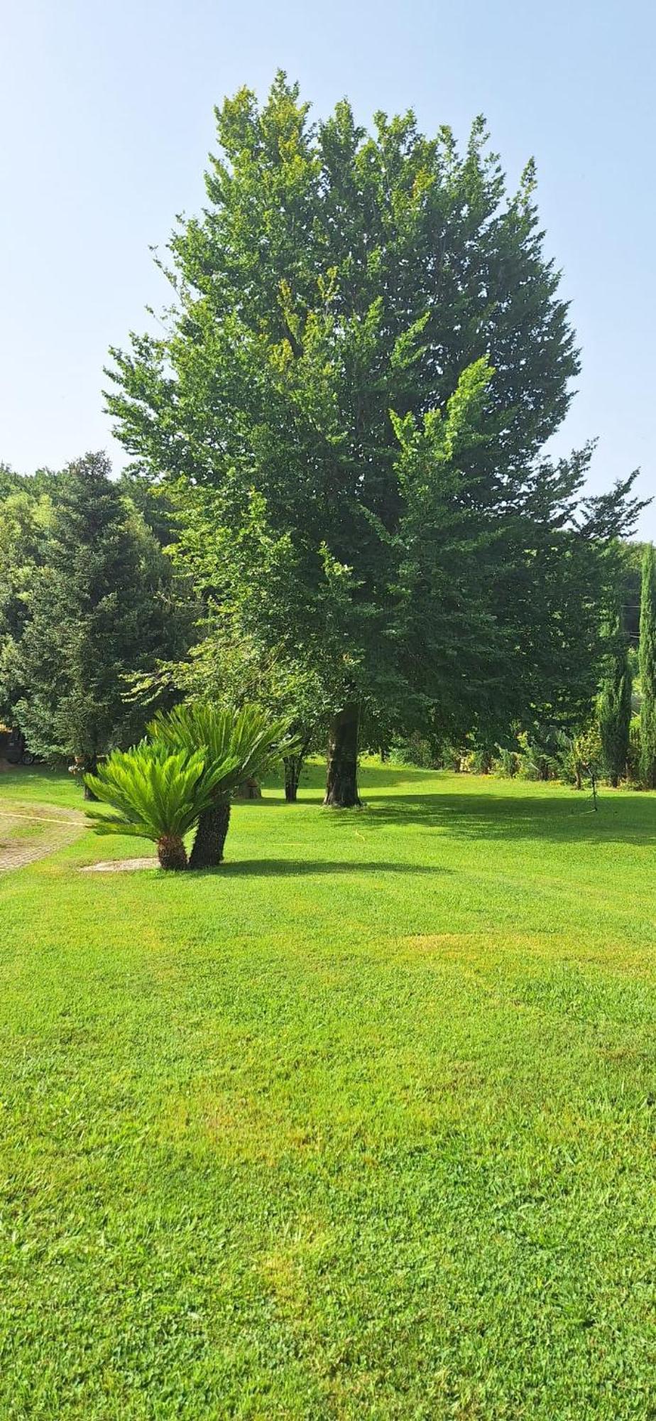 Villa Lucilla Altavilla Silentina Esterno foto