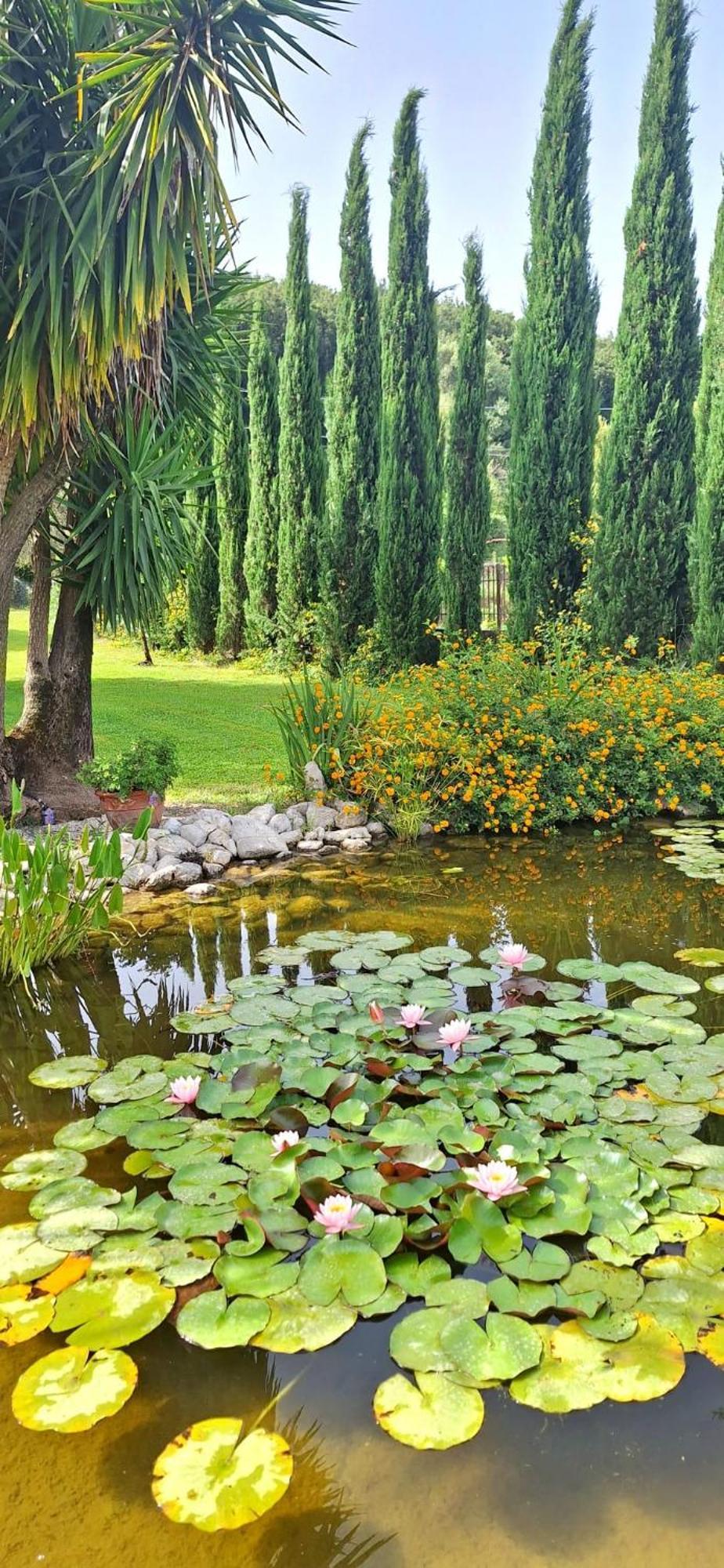Villa Lucilla Altavilla Silentina Esterno foto